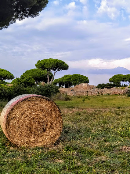 ostia antica - balla di fieno