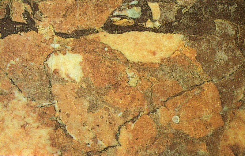Pannello 105 - Figura 1