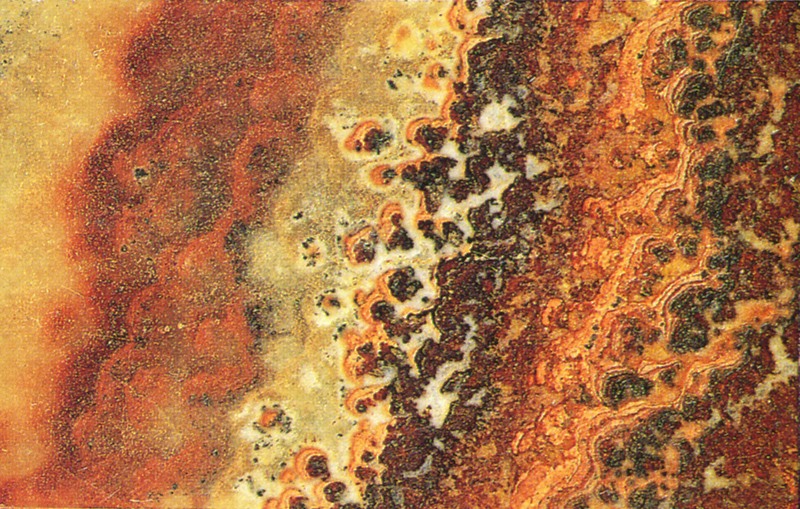 Pannello 106 - Figura 2