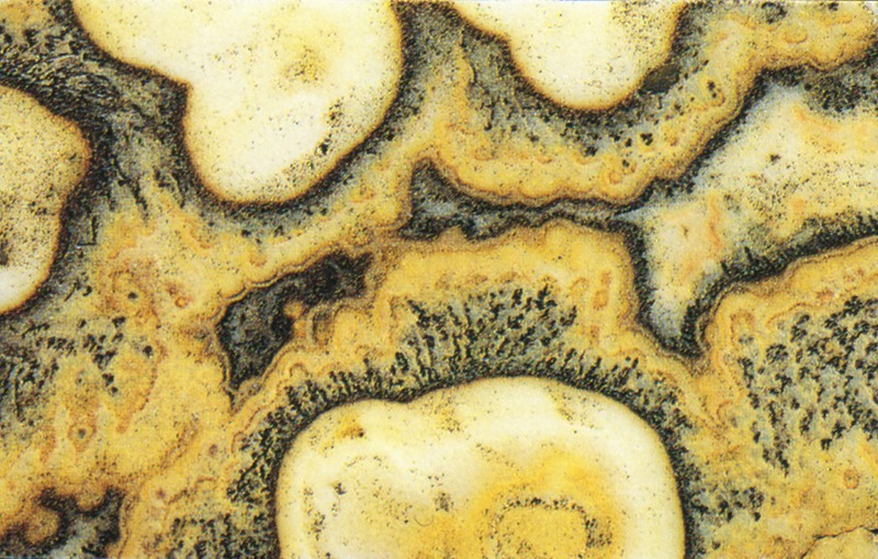 Pannello 106 - Figura 3