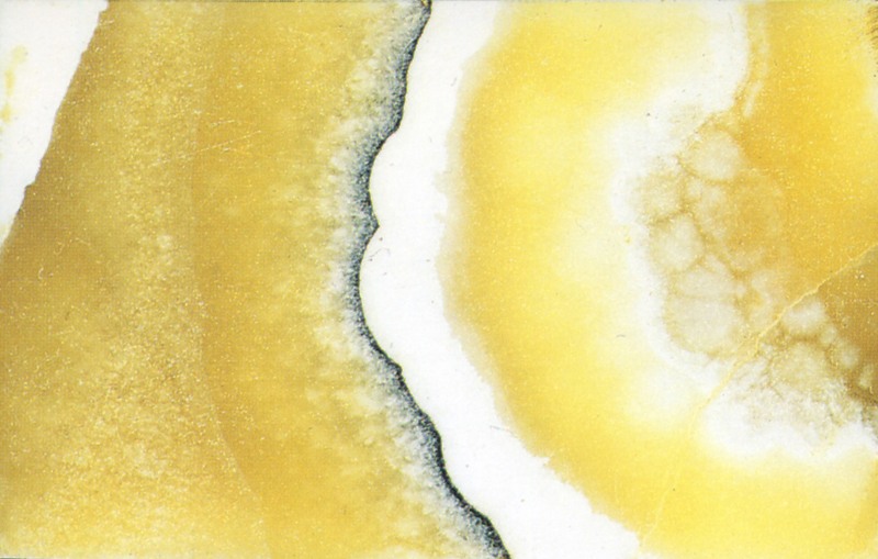 Panel 107 - Figure 2