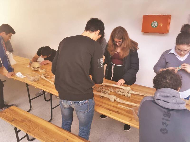 Antropologia