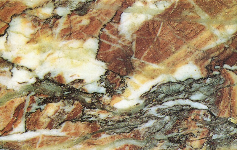 Pannello 109 - Figura 3