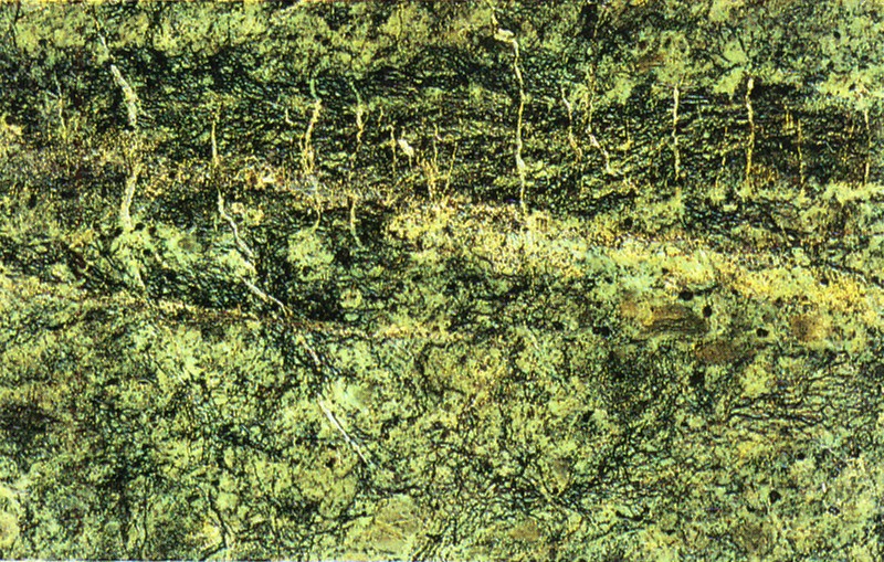 Pannello 109 - Figura 5