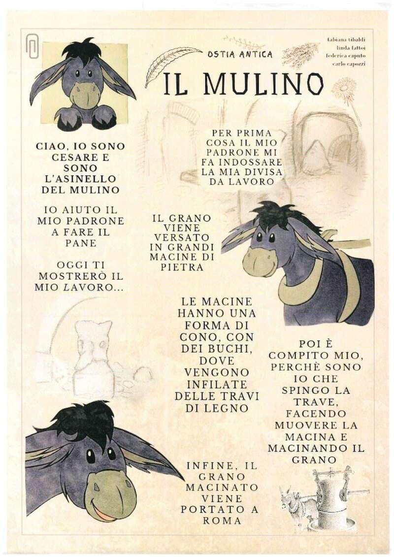 Infografica Molino