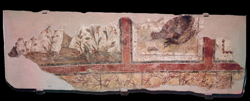 Panel 81b - Figure 5