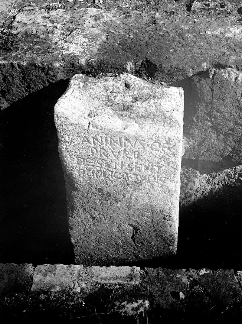 Panel 19 - Figure 1