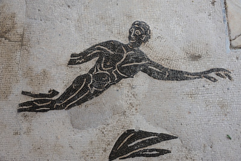 Pannello 33 - Figura 2