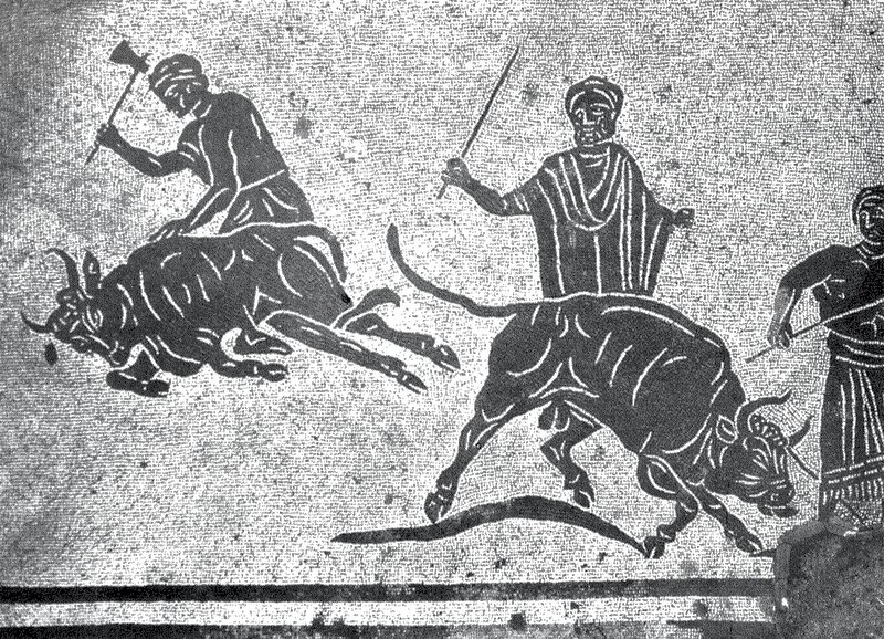 Panel 20 - Figure 2