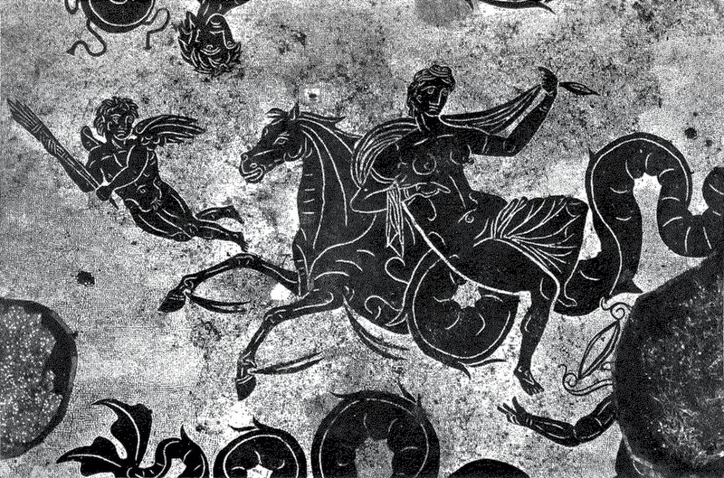 Panel 22 - Figure 2