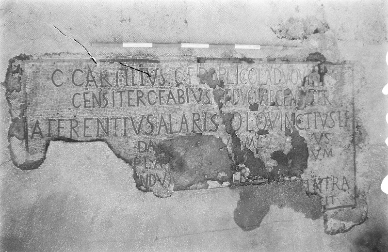 Pannello 29 - Figura 3
