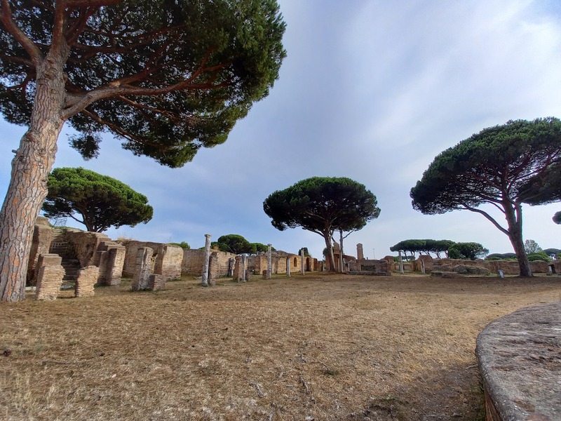 La palestra delle Terme del Foro