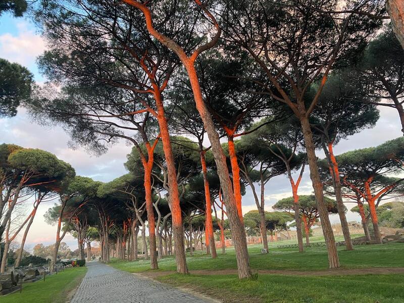 pini di ostia antica