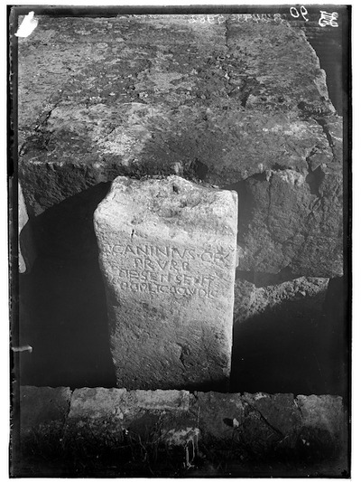 Cippo di Caninio