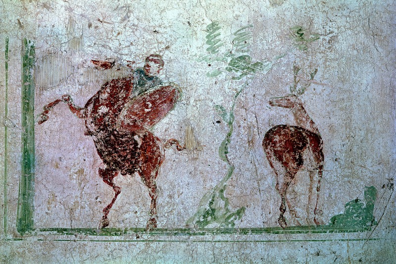 Pannello 75 - Figura 4