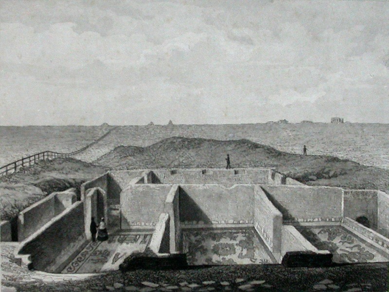 Panel 93 - Figure 2