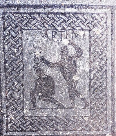 Il mosaico dei lottatori