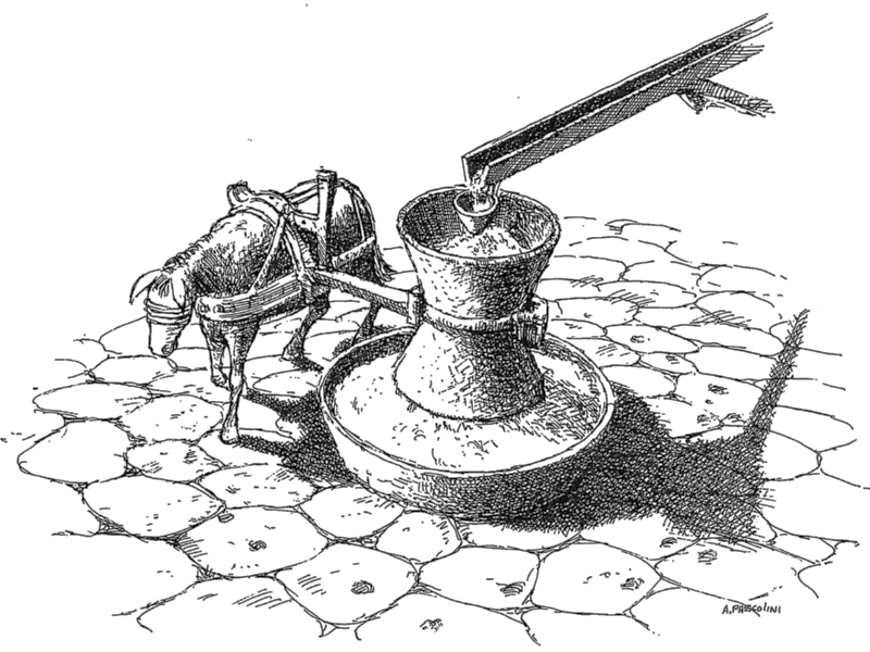 Pannello 46 - Figura 3