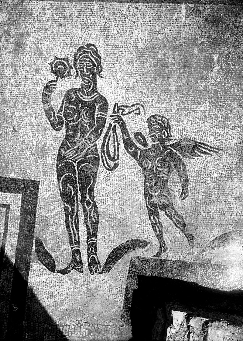Pannello 88 - Figura 2