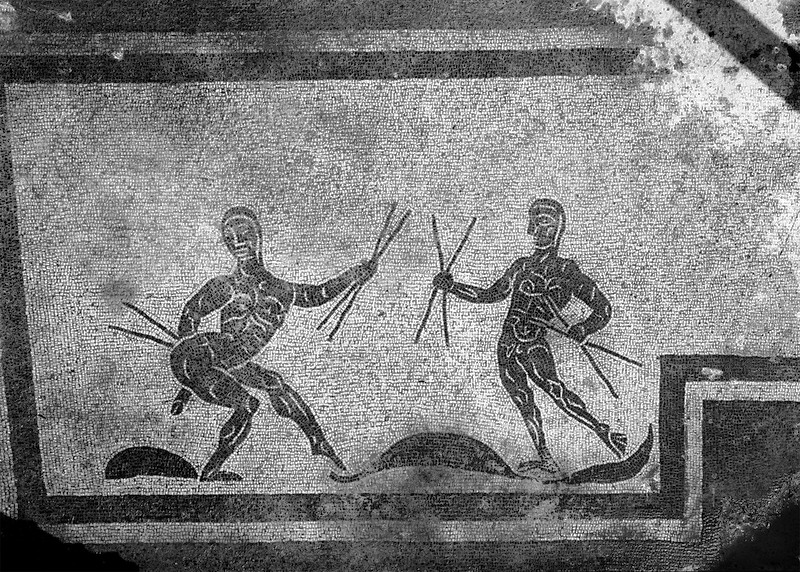 Pannello 88 - Figura 3