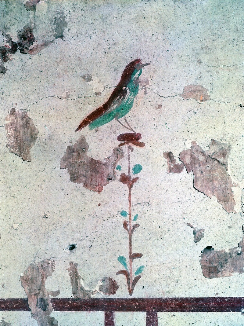 Pannello 79 - Figura 5