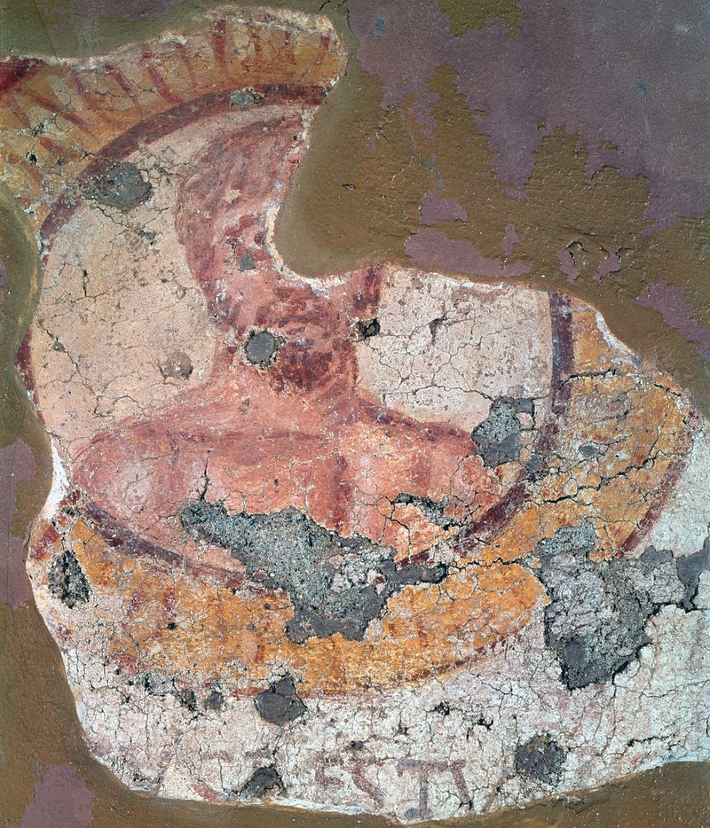 Pannello 79 - Figura 6