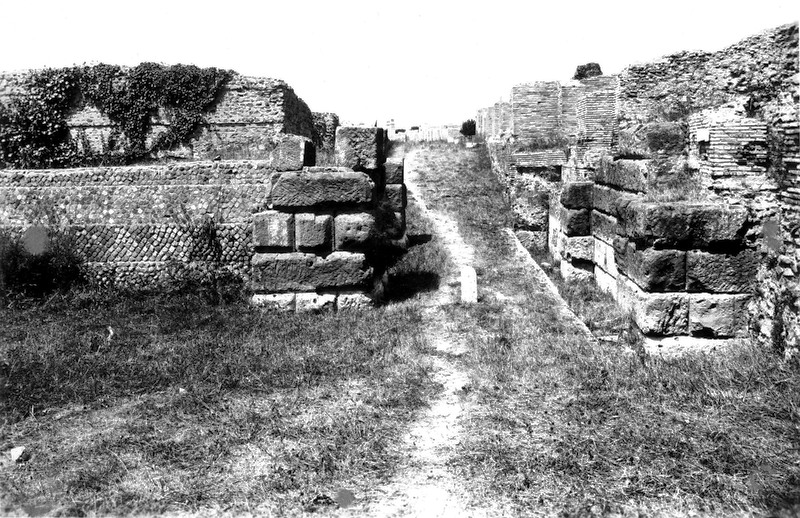 Panel 43 - Figure 2