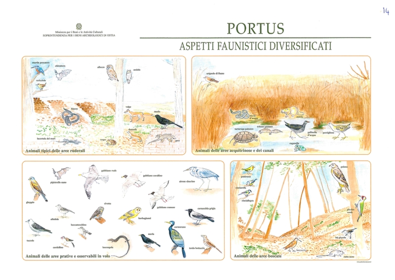 Aspetti faunistici diversificati