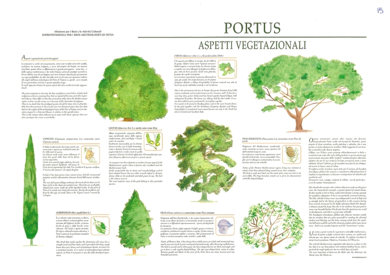 Aspetti vegetazionali