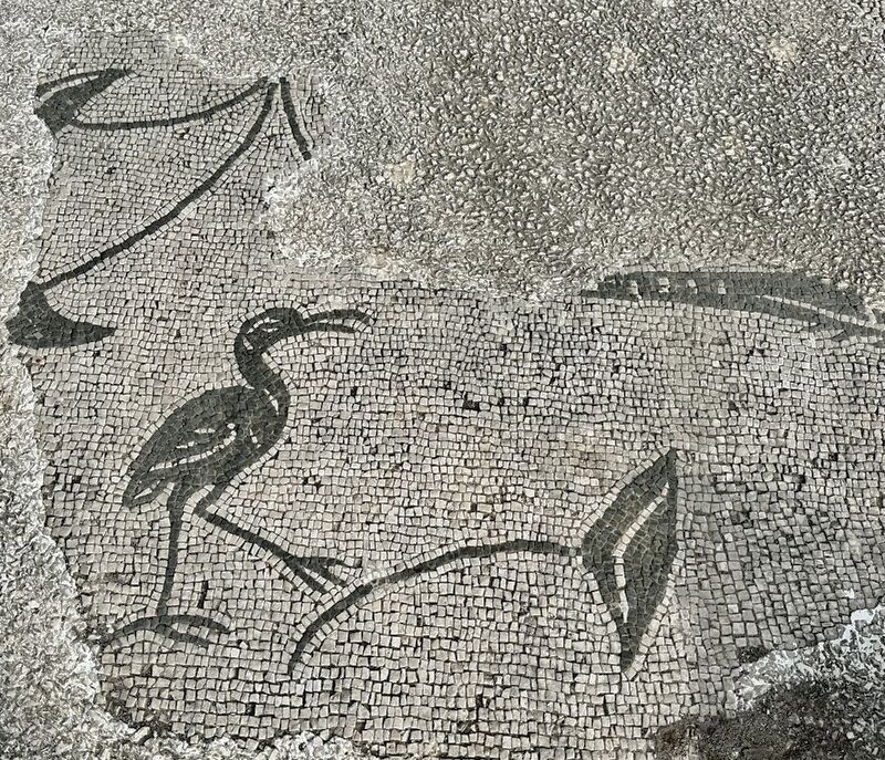serapeum mosaico