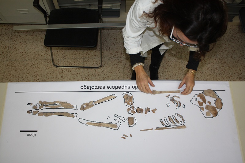 laboratorio antropologia