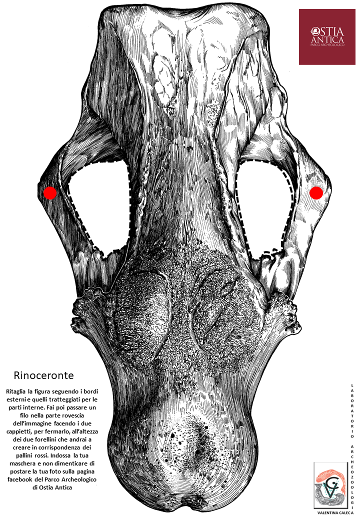Rinoceronte