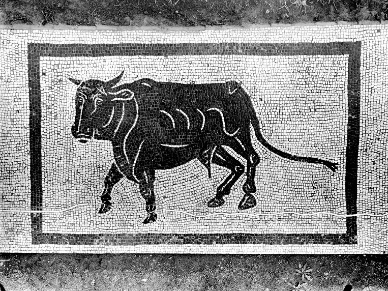 Panel 70b - Figure 2